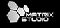 Matrix Studios Logo